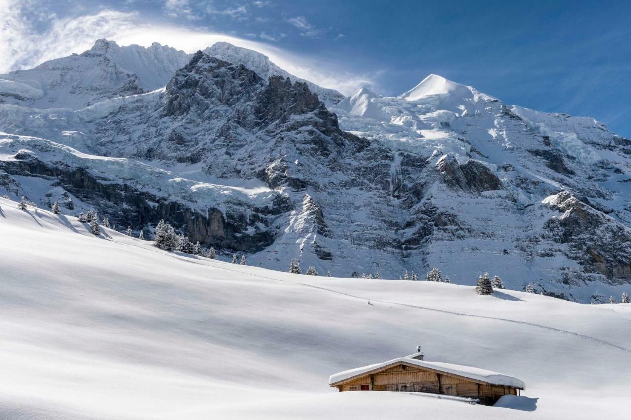 O 68 Haus Bel Air Leilighet Wengen Eksteriør bilde
