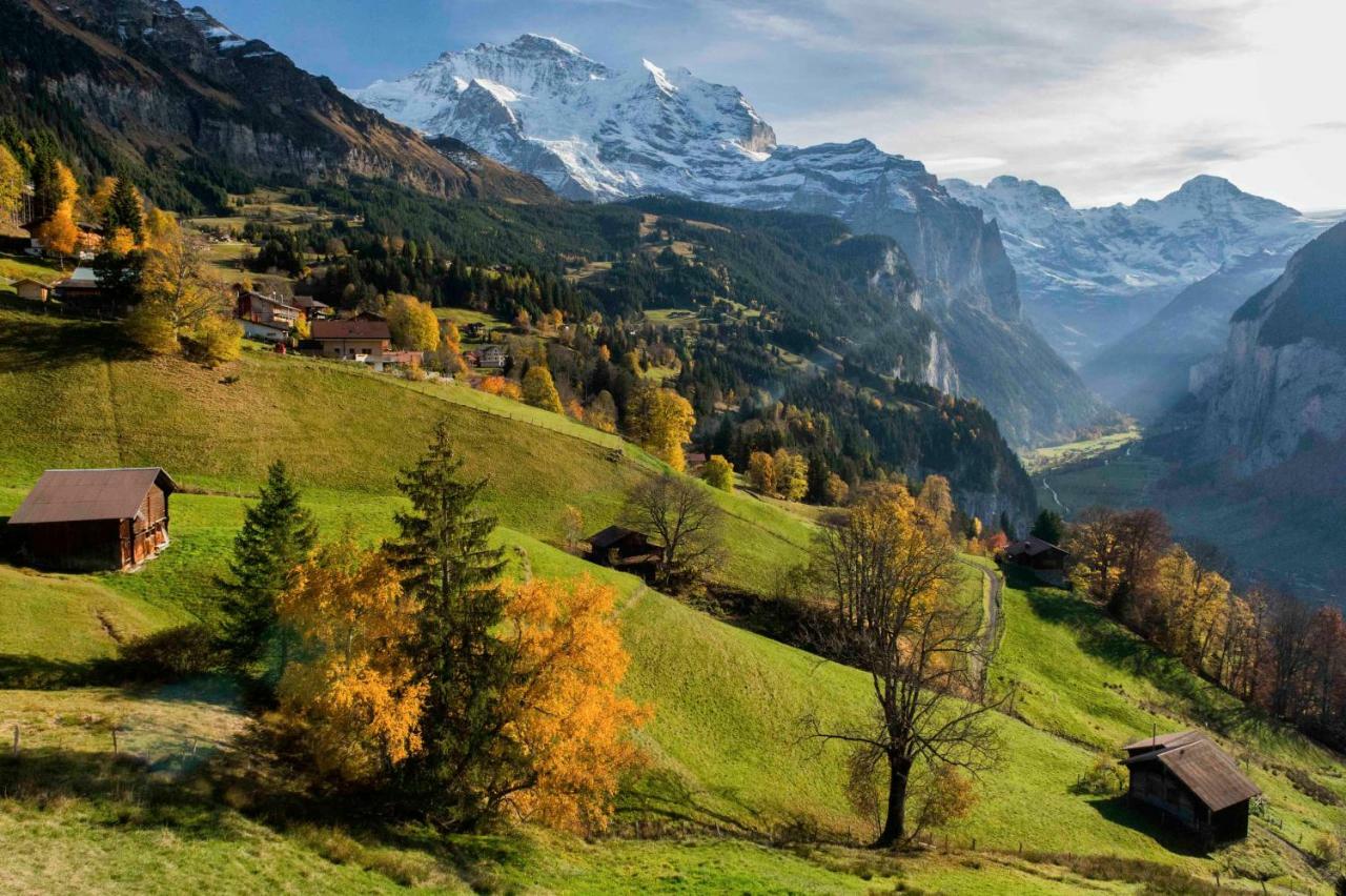 O 68 Haus Bel Air Leilighet Wengen Eksteriør bilde